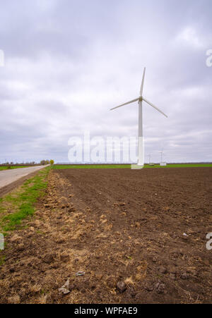 Ein Feld von Windenergieanlagen zur Stromerzeugung Stockfoto