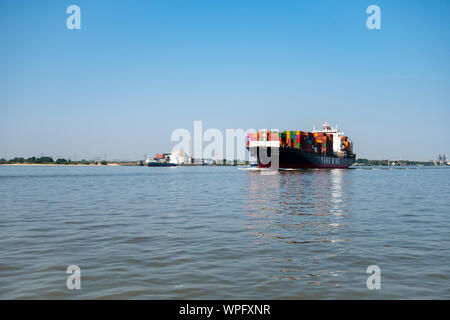 Stadersand, Deutschland - 25. August 2019: Containerschiff YM Essence von Yang Ming Shipping Line überfahrt Kernkraftwerk Stade an der Elbe River bei Stockfoto