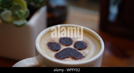 Katze Pfote Muster latte Art Kaffee in weiße Krug auf Holz Tisch mit sukkulente Pflanze Dekoration im Cafe Stockfoto
