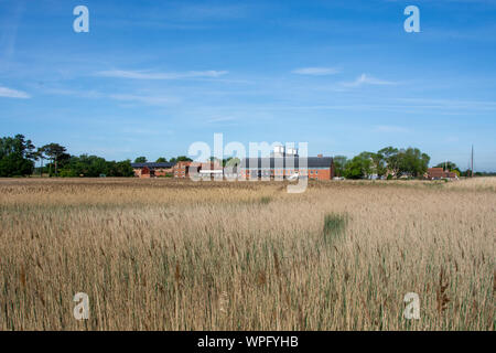 Blick auf Snape Maltings über Schilf Stockfoto