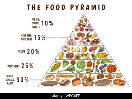 Gesundes Essen plan Pyramide. Infografiken für ausgewogene Ernährung Prozentsatz. Lifestyle Konzept. Zutaten für Speisen. Ernährung führen. Hand in gezeichnet Stock Vektor