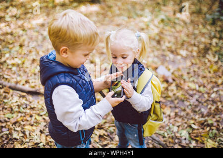 Kinder im Vorschulalter kaukasischen Bruder und Schwester Bilder von einander auf Handy Kamera in Forest Park Herbst. Thema der Hobby- und Aktiv Stockfoto