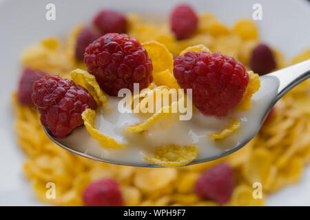 Frische Himbeeren mit Corn Flakes mit Diät Joghurt Stockfoto