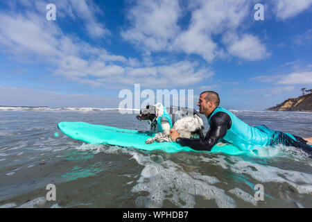 Delmar, CA, USA. 9 Sep, 2019. Jeder hat eine gute Zeit, wenn die Hunde auf den Strand in Delmar. Die Brandung Hund Surf-A-Thon Fundraiser in Del Mar hilft Helen Woodward Animal Center Kapital für Waisen Haustiere. Die Brandung Hund Surf-A-Thon findet jedes Jahr im September, bei Del MarÃs Hund Strand, in San Diego County, Kalifornien. Hier gesehen: Noah Credit: Daren Fentiman/ZUMA Draht/Alamy leben Nachrichten Stockfoto