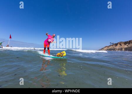 Delmar, CA, USA. 9 Sep, 2019. Jeder hat eine gute Zeit, wenn die Hunde auf den Strand in Delmar. Die Brandung Hund Surf-A-Thon Fundraiser in Del Mar hilft Helen Woodward Animal Center Kapital für Waisen Haustiere. Die Brandung Hund Surf-A-Thon findet jedes Jahr im September, bei Del Mar Hund Strand, in San Diego County, Kalifornien. Credit: Daren Fentiman/ZUMA Draht/Alamy leben Nachrichten Stockfoto