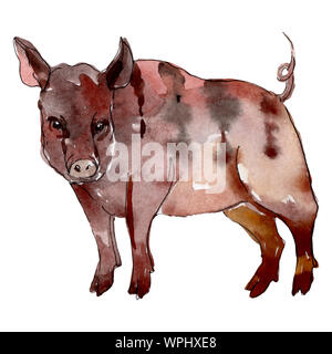 Wildschwein farm animal isoliert. Aquarell Hintergrund Abbildung. Isolierte Schwein Abbildung Element. Stockfoto