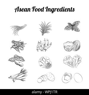 Asean Lebensmittelzutaten set Bundle für Gemüse und Fleisch im Farbverlauf cartoon Design, Vektor, Abbildung Stock Vektor