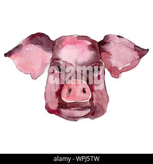 Schweinekopf farm animal isoliert. Aquarell Hintergrund Abbildung. Isolierte Schwein Abbildung Element. Stockfoto