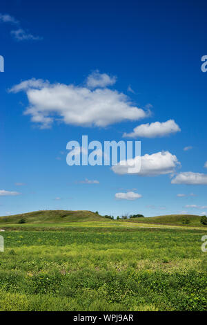 Prairie Landschaft mit gracial Hügel im Hintergrund. Foto auf einem hellen Sommertag mit einem tiefblauen Himmel und weichen Wolken im Hintergrund. Loc Stockfoto