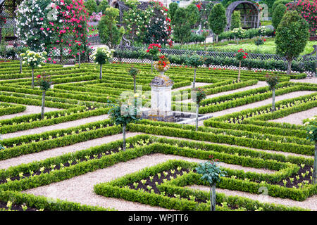 Gärten von Villandry Chateau Indre-et-Loire Frankreich Stockfoto