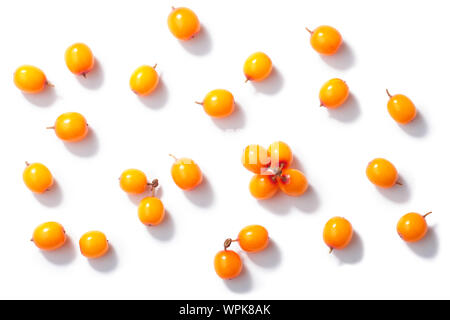 Sanddorn (Hippophae rhamnoides), Beeren, isoliert, Ansicht von oben Stockfoto