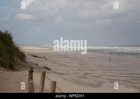 Dünen zum Strand führenden auf der Insel Ameland im Sommer. Stockfoto