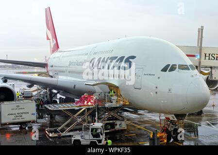 Eine QANTAS Airbus A380 Super jumbo Entladen auf seinem Stand am Heathrow Airport London England Großbritannien Stockfoto