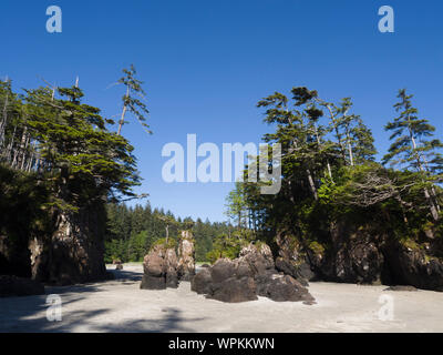 Sea Stacks in San Josef Strand, Vancouver Island, British Columbia, Kanada Stockfoto