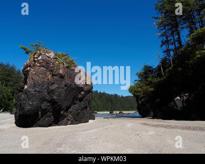 Sea Stacks in San Josef Strand, Vancouver Island, British Columbia, Kanada Stockfoto