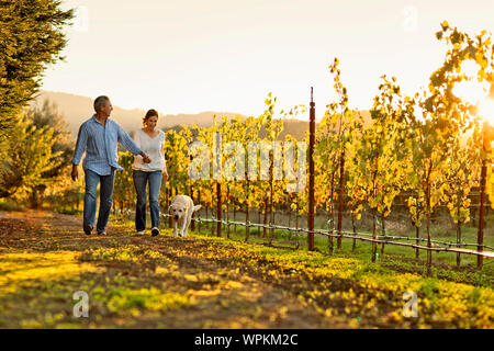 Reifes Paar Hand in Hand durch den Weinberg. Stockfoto