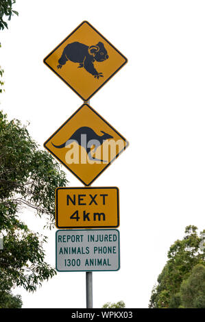 Ein Schild zeigt sowohl einen Koala und ein Känguru auf einer Autobahn in Queensland, Australien. Das Schild warnt die Autofahrer, dass sie ein Tier nähert sich Stockfoto