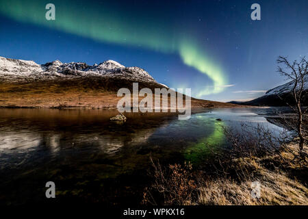 Aurora borealis, Northern Lights, aktive, farbigen Vorhängen, coronas, über Nacht Himmel, Polarkreis, Kvaloya, Insel, Troms, Tromso, Norwegen Stockfoto