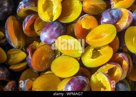 Sieversdorf, Deutschland. 08 Sep, 2019. Entsteinten Pflaumen liegen in eine Schüssel geben. Foto: Patrick Pleul/dpa-Zentralbild/ZB/dpa/Alamy leben Nachrichten Stockfoto