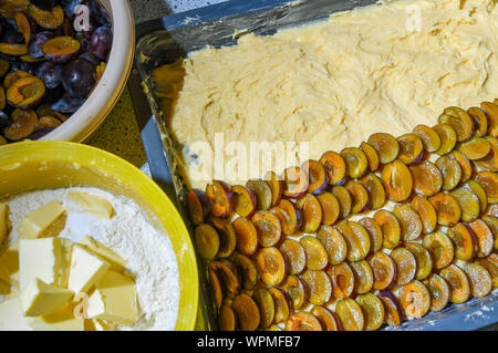 Sieversdorf, Deutschland. 08 Sep, 2019. Ein pflaumenkuchen gebacken. Foto: Patrick Pleul/dpa-Zentralbild/ZB/dpa/Alamy leben Nachrichten Stockfoto