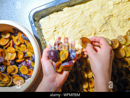 Sieversdorf, Deutschland. 08 Sep, 2019. Ein pflaumenkuchen gebacken. Foto: Patrick Pleul/dpa-Zentralbild/ZB/dpa/Alamy leben Nachrichten Stockfoto