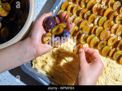 Sieversdorf, Deutschland. 08 Sep, 2019. Ein pflaumenkuchen gebacken. Foto: Patrick Pleul/dpa-Zentralbild/ZB/dpa/Alamy leben Nachrichten Stockfoto