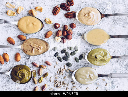 Nüsse und Samen Butter auf einem Löffel mit Zutaten. Hausgemachte organischen Mandel, hazlenut, Cashew, Pistazie, Pekannuss einfügen und Sonnenblumenkerne und pumpk Stockfoto