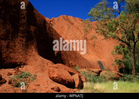 Uluṟu - Kata Tjuṯa National Park, Northern Territory, Australien - April 2015: Wanderung rund um den Ayers Rock Stockfoto