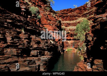 Wandern und Schwimmen im Karijini Nationalparkfreundliche Campingplätze, Western Australia mit schönen Felsformationen Stockfoto