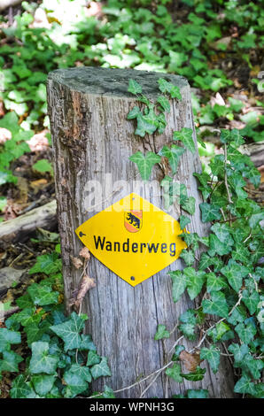 Gelbe Wanderweg Markierung auf einem Baumstumpf im Wald. Anmelden ÜBERSETZUNG: Wanderweg-trail, Wanderweg in deutscher Sprache. Touristische Zeichen helfen zur Orientierung auf Wanderwege. Wegweisende, wegmarkierung. Stockfoto