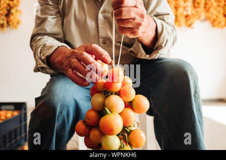 Apulien/ITALIEN - AUGUST 2019: Die alte Tradition der hängenden Kirschtomaten auf der Wand sie für wintrr Zeit im Süden Italiens zu erhalten Stockfoto