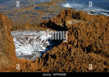 Quobba Blow Holes, Macleod, Western Australia Stockfoto