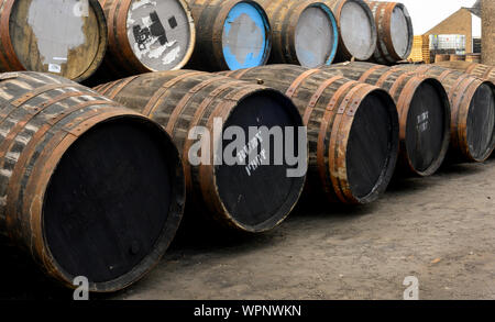 Ansicht der alten Whisky Fässern an glenglassaugh Highland Single Malt Whisky Distillery, Portsoy, Aberdeenshire, Schottland, Großbritannien. Stockfoto