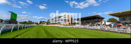 Blick auf die Tribünen mit Blick auf die Meerenge bei Fontwell Park Racecourse, Fontwell, in der Nähe von Arundel, West Sussex, England, Großbritannien Stockfoto