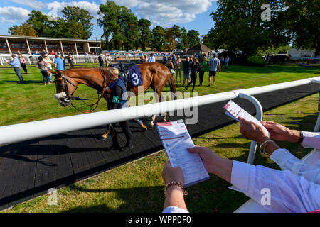 Blick auf börsenspekulanten an der Parade Ring an fontwell Park Racecourse, Fontwell, in der Nähe von Arundel, West Sussex, England, Großbritannien Stockfoto