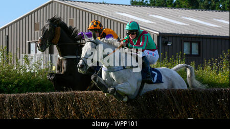 Pferde und Downloadtheapp Killabraher Kreuz springen ein Zaun am Fontwell Park Racecourse, Fontwell, in der Nähe von Arundel, West Sussex, England, Großbritannien Stockfoto