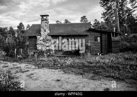 In Pine Grove Allensparks Colorado Stockfoto