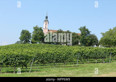 Blick auf die Wallfahrtskirche Birnau am Bodensee Stockfoto