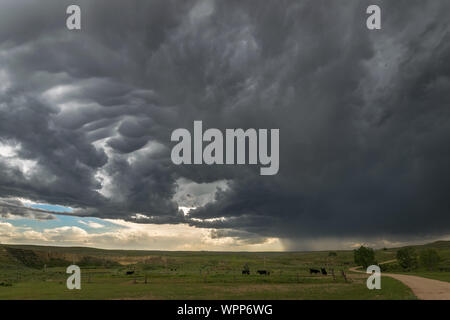 Schwere Gewitter bewegt sich über den hohen Ebenen des östlichen Wyoming, Vereinigte Staaten von Amerika Stockfoto