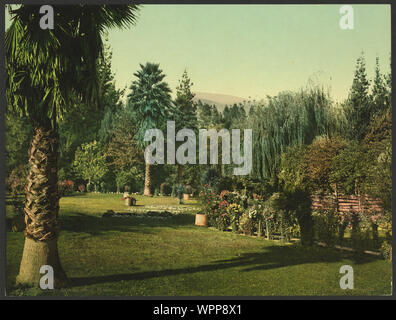 Lucky Baldwin's Ranch, Pasadena; Stockfoto