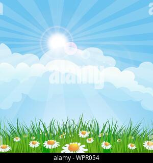 Sommer Felder Landschaft. Wiese Blumen und Gras gegen den klaren blauen Himmel. Vector Hintergrund Stock Vektor
