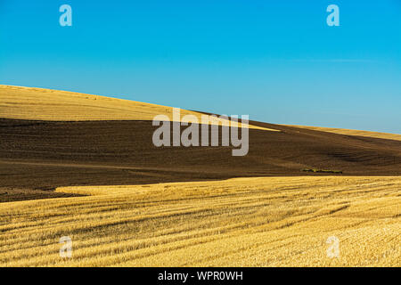 Washington, Palouse Region, Hwy 26, Herbst nach der Ernte, Bauernhof implementieren Stockfoto