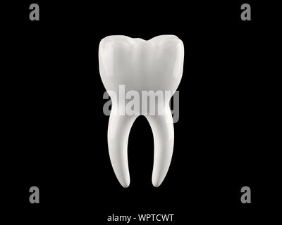 Menschliche Zahn (Molar) auf schwarz isoliert Stockfoto