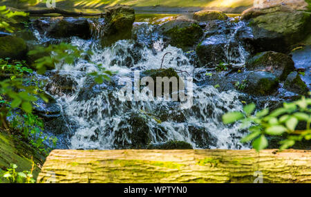 Streaming Wasser über Felsen in Nahaufnahme, schönen Garten Architektur, Natur Hintergrund von einem kleinen Wasserfall Stockfoto