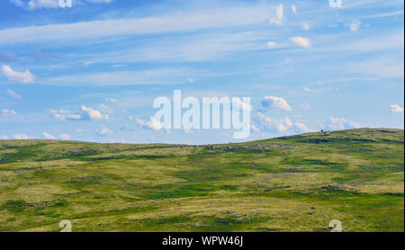 Reisen durch die Murmansker Tundra. Stockfoto