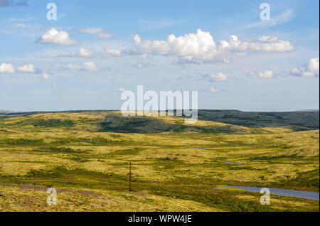 Reisen durch die Murmansker Tundra. Stockfoto