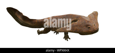 Diplocaulus, niedliche Tier aus dem späten Karbon zum Perm isoliert auf weißem Hintergrund (3d Paläontologie rendering) Stockfoto