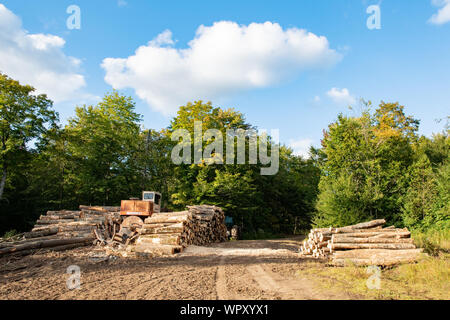 Eine Protokollierung mit Maschinen und Protokolle in der Wildnis der Adirondack Mountains, NY, USA Stockfoto