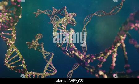 DNA-Molekül, der Doppelhelix, die genetischen Anweisungen Stockfoto