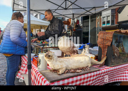 Mit Stofftieren Stall für den Verkauf in der Guildford Antike & Brocante Street Market, High Street, Guildford, Surrey, Südosten, England, Grossbritannien Stockfoto